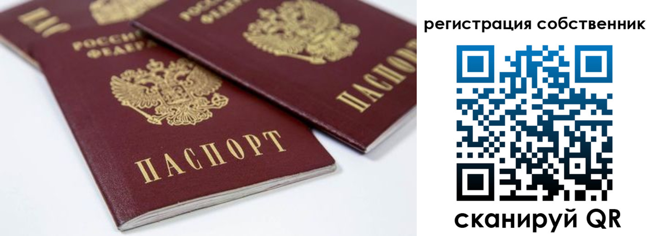 прописка для школы в Кондрово